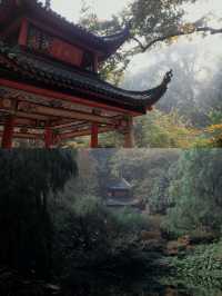 長沙三天兩晚攻略：煙火與詩意的完美邂逅！