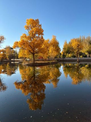 阿拉善-酒泉-張掖Citywalk漫遊指南必收藏