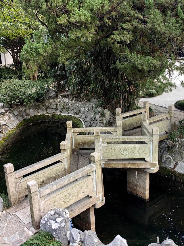 桂林公園探梅記