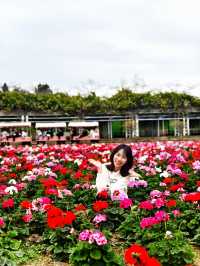 盈香心動樂園：一場既心動又心跳的夢幻之旅！