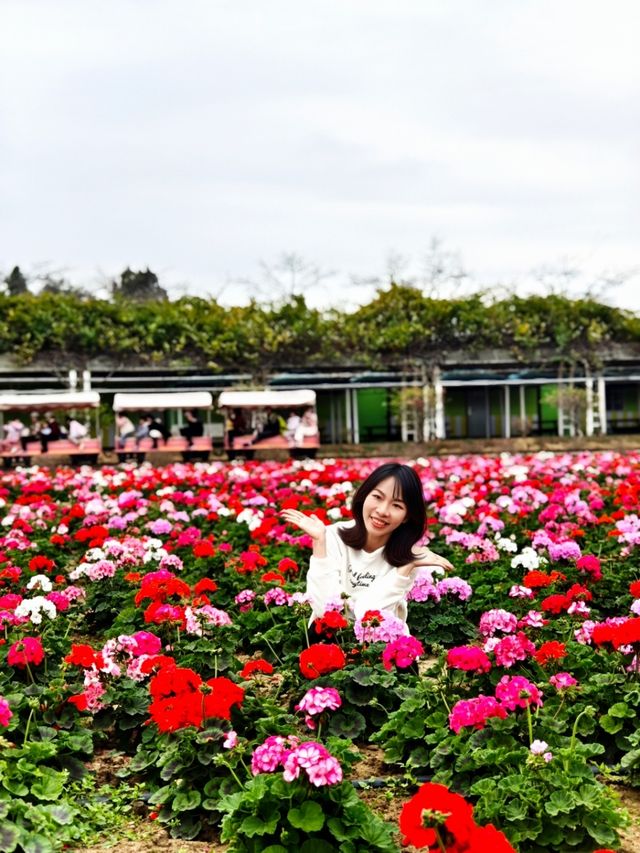 盈香心動樂園：一場既心動又心跳的夢幻之旅！