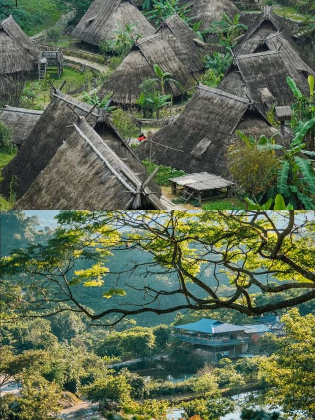 雲南普洱，四季皆宜嘅旅行地。
