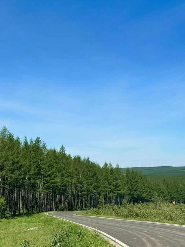 烏蘭布統草原-木蘭圍場2日遊 玩轉草原不踩雷