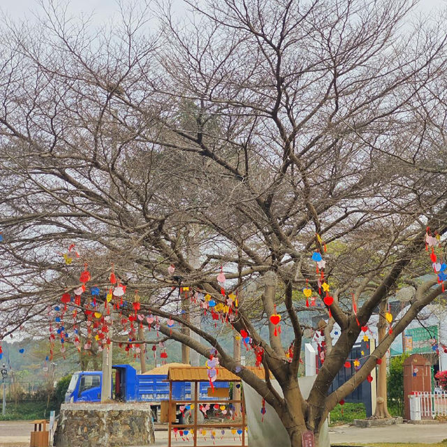 🌞週末出逃 | 邂逅旺林的愜意時光