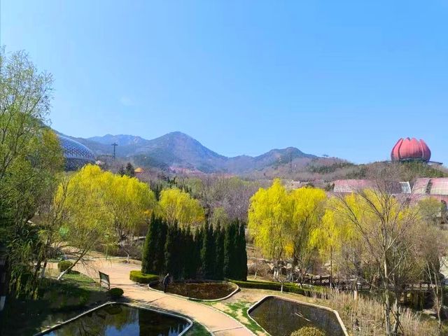 青島「失落」景區，曾耗資180億打造