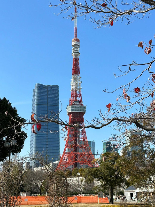 東京鐵塔｜經典紅白地標，東京街頭最佳風景 