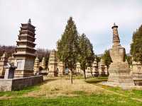鄭州｜少林寺｜千年禪武的時光秘境