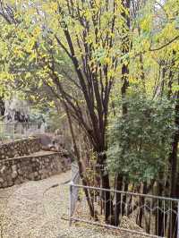 想在西安賞花觀樹？來紡織公園就對了