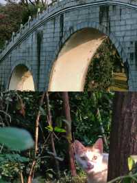 順德北滘 嶺南和園
