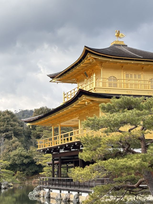 日本8天遊 玩轉全境不重樣