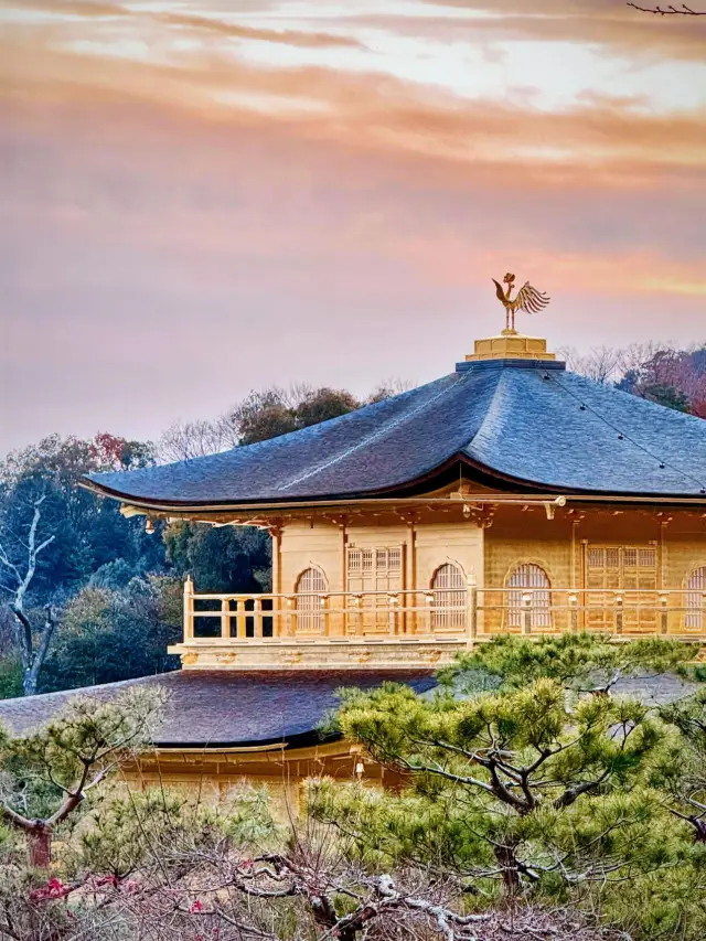 일본 8일 여행|청명절 벚꽃놀이 놓칠 수 없는 코스