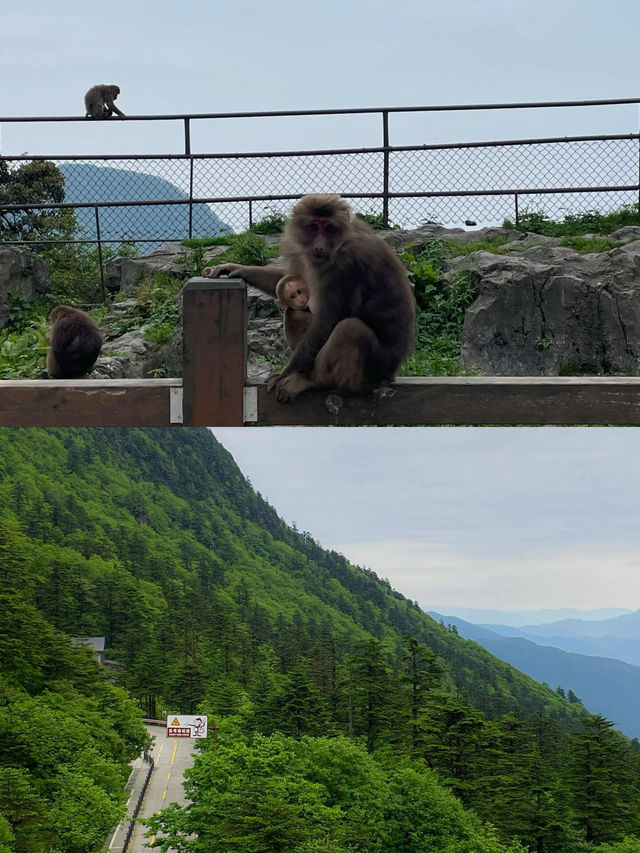 佛系青年的修仙之旅
