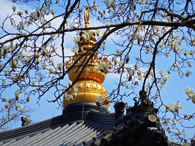 浙江｜位列「五山十剎」之首的徑山寺