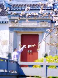 盤點上海十大美景鬱金香公園之｜閘北公園