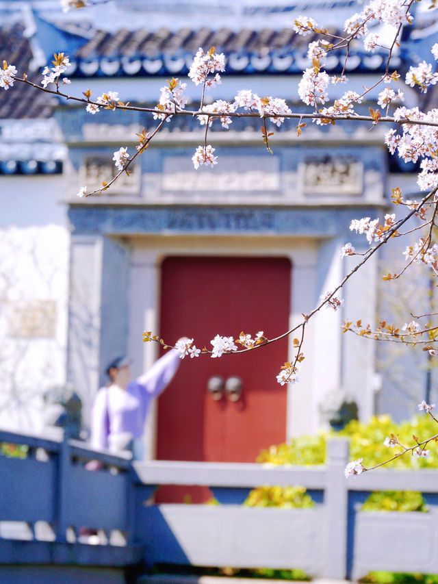 盤點上海十大美景鬱金香公園之｜閘北公園