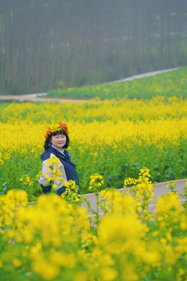 春日支線任務1/10 羅平油菜花