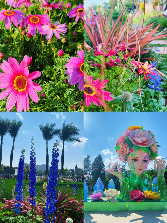 蒙自【法國花園】太美啦