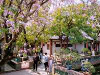 Exploring Zhongshan City Parks During Spring Full Bloom