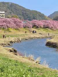 伊豆🌸原來動漫裏的場景是真實存在的❗️
