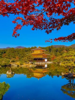 6-Day Spring Trip to Japan: Enjoy Both Flowers and Fun