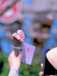上海開往春天的列車🌸盛放附機位攻略