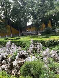千年古剎，櫻花聖地——南京雞鳴寺全攻略 