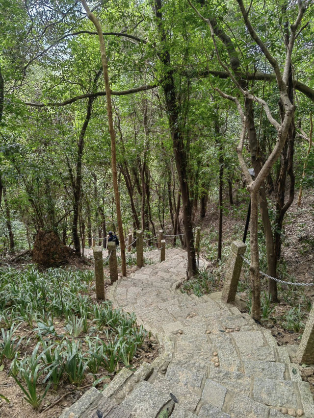 深圳寶藏一日游：筆架山+深業上城