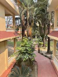 Hotel Rainforest - Nepal