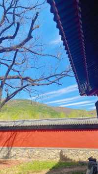 香山的行山路線適合新手嗎？