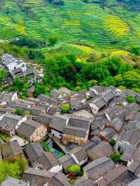 尋夢婺源：油菜花海與徽派建築的千年詩畫