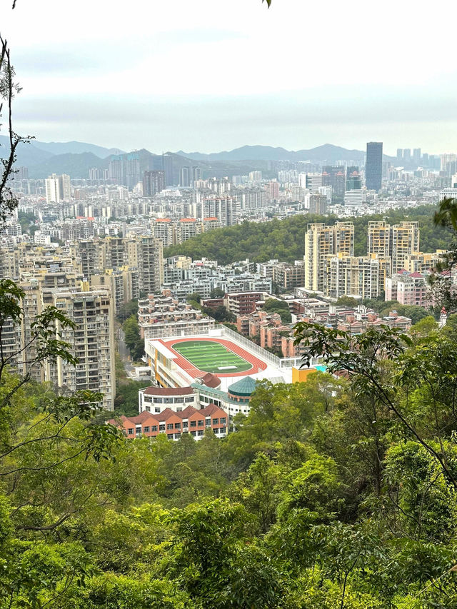 板障山森林公園：徒步邂逅自然之美