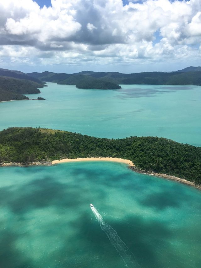 漢密爾頓島－潛入珊瑚與陽光交織的幻境