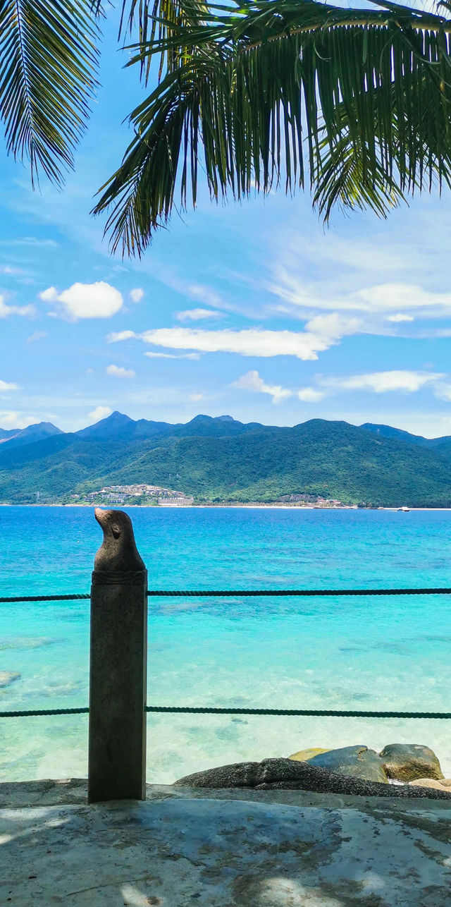 欽州寶藏旅遊攻略，解鎖小眾海濱之城
