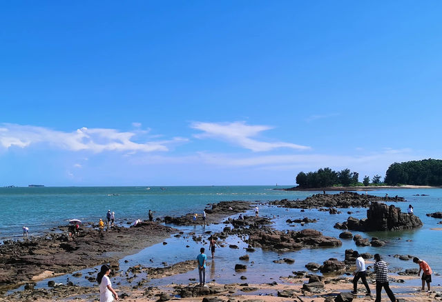 欽州寶藏旅遊攻略，解鎖小眾海濱之城