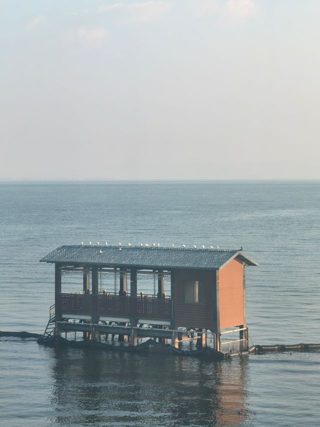 雲起大理｜坐擁洱海