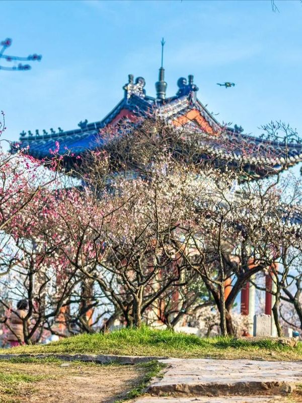 梅花山超全攻略 | 帶你玩轉絕美仙境