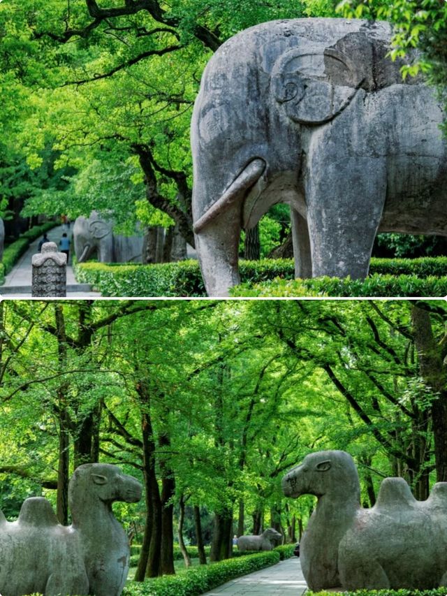 南京五一隱藏玩法！本地人私藏路線，避開人從眾！