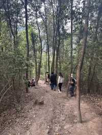 4.20走馬崗—零經驗首次徒步建議（指路地圖版
