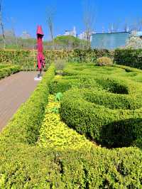杭州春日奇遇！在東方文化公園闖入粉色桃花童話世界！