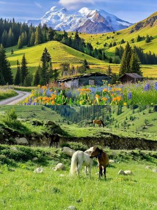 Xinjiang Northern Region: 10 Days and 9 Nights