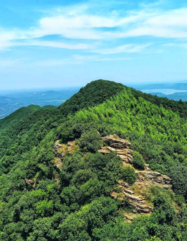 逃離城市計劃·闖入南山竹海的綠野仙蹤秘境