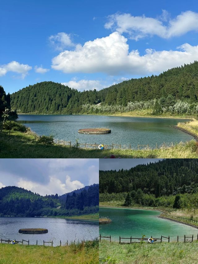 重慶周邊挖到神仙避暑地！23℃嘅森林秘境