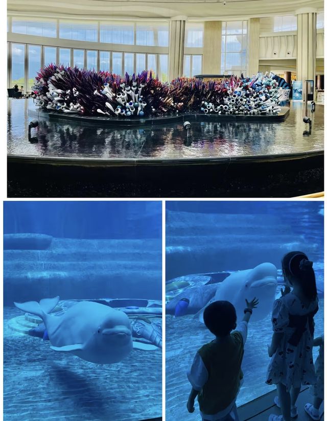 海口萬寧三亞～緊湊的旅行