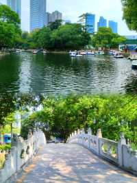 武漢公園漫遊指南：摩天輪與湖光交織的日常