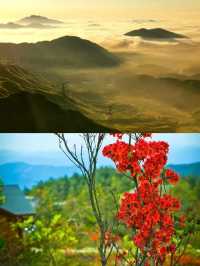 春山可望 | 初夏福建登山好去處！