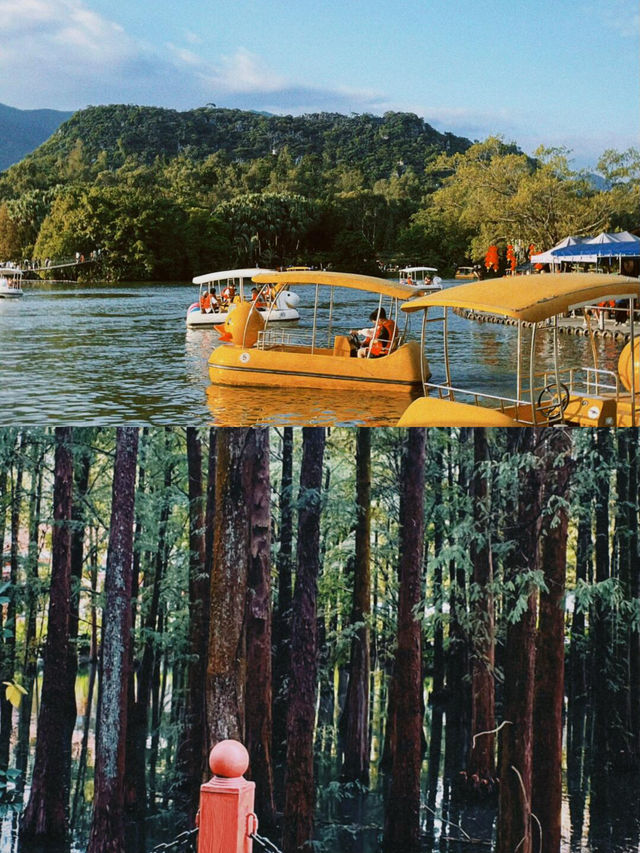山水、古剎、裹蒸糉，解鎖嶺南最詩意的湖光山色！