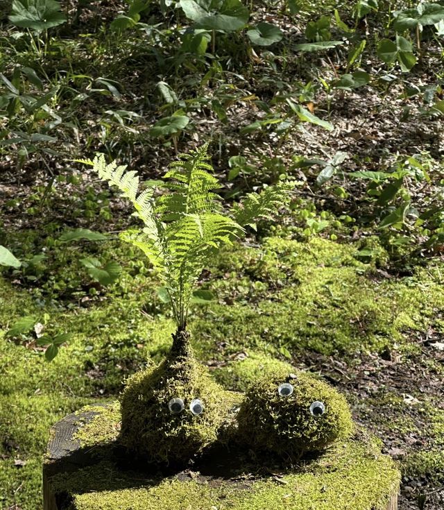住進春天的青森山林