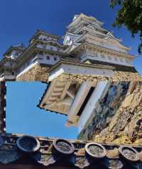 日本行·神戶周邊姬路城。
藍天下如白鷺高飛