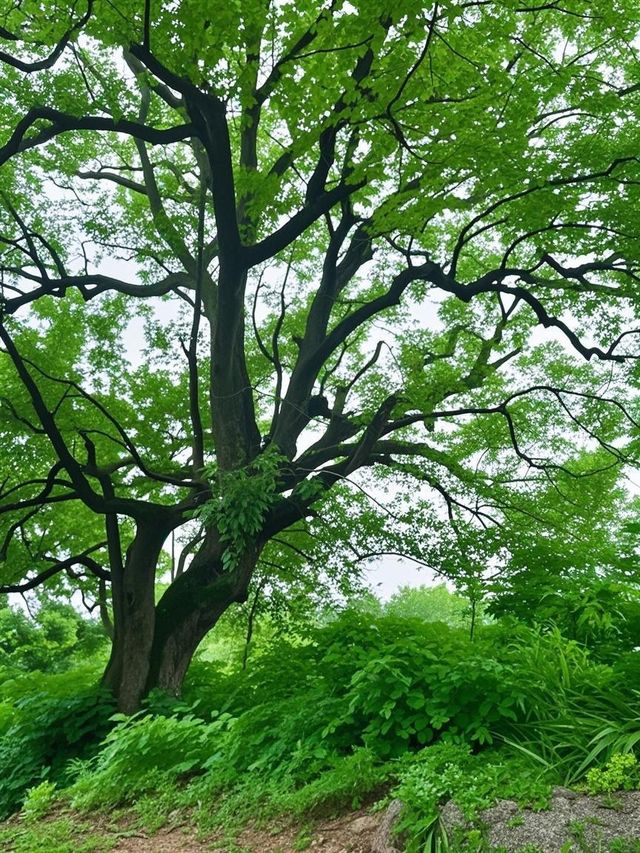 崩潰！帶住細路殺入郴州秘境，呢個地方真係出唔到嚟！