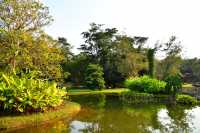 西雙版納熱帶植物園：熱帶植物王國